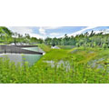 旱溝排水水環境改善計畫溪畔景觀池工程